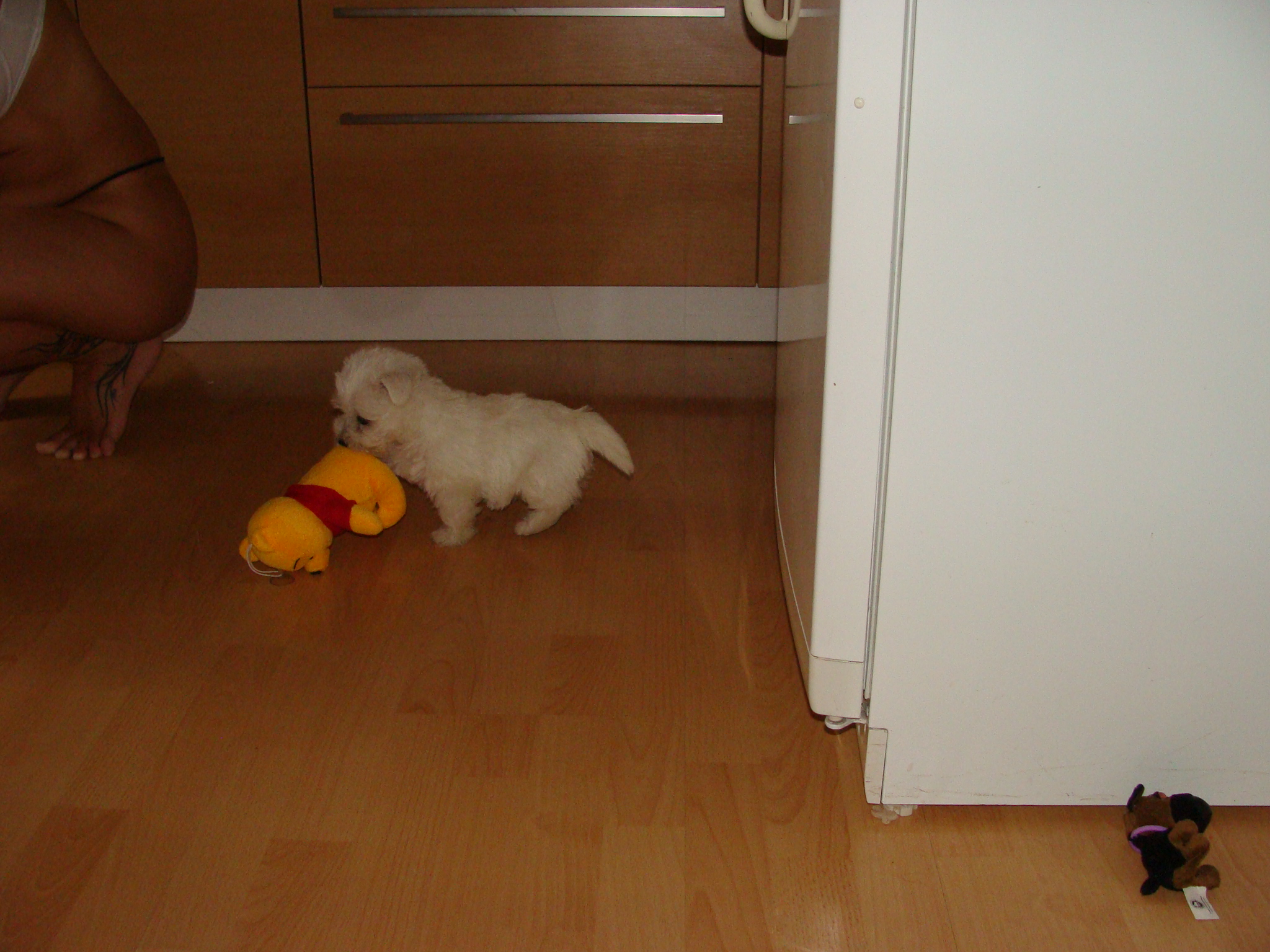 DSC01712.JPG