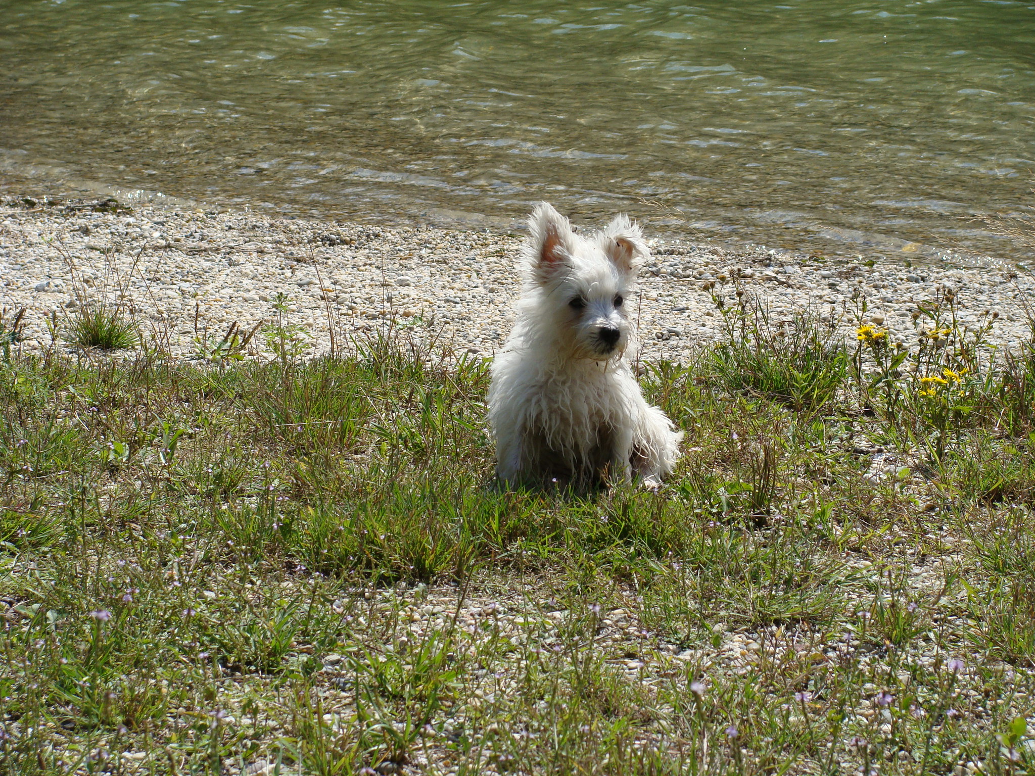 DSC02039.JPG