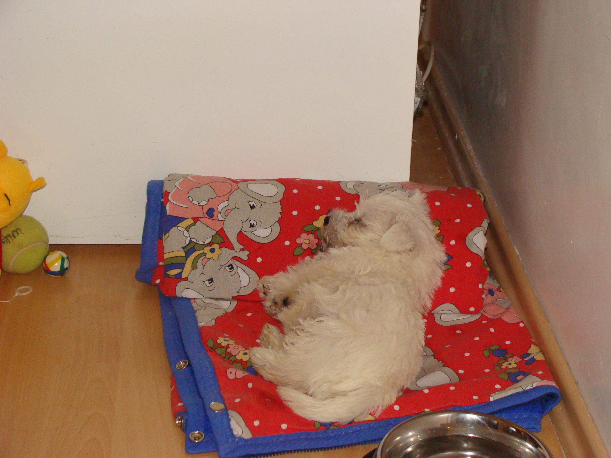 DSC01719.JPG