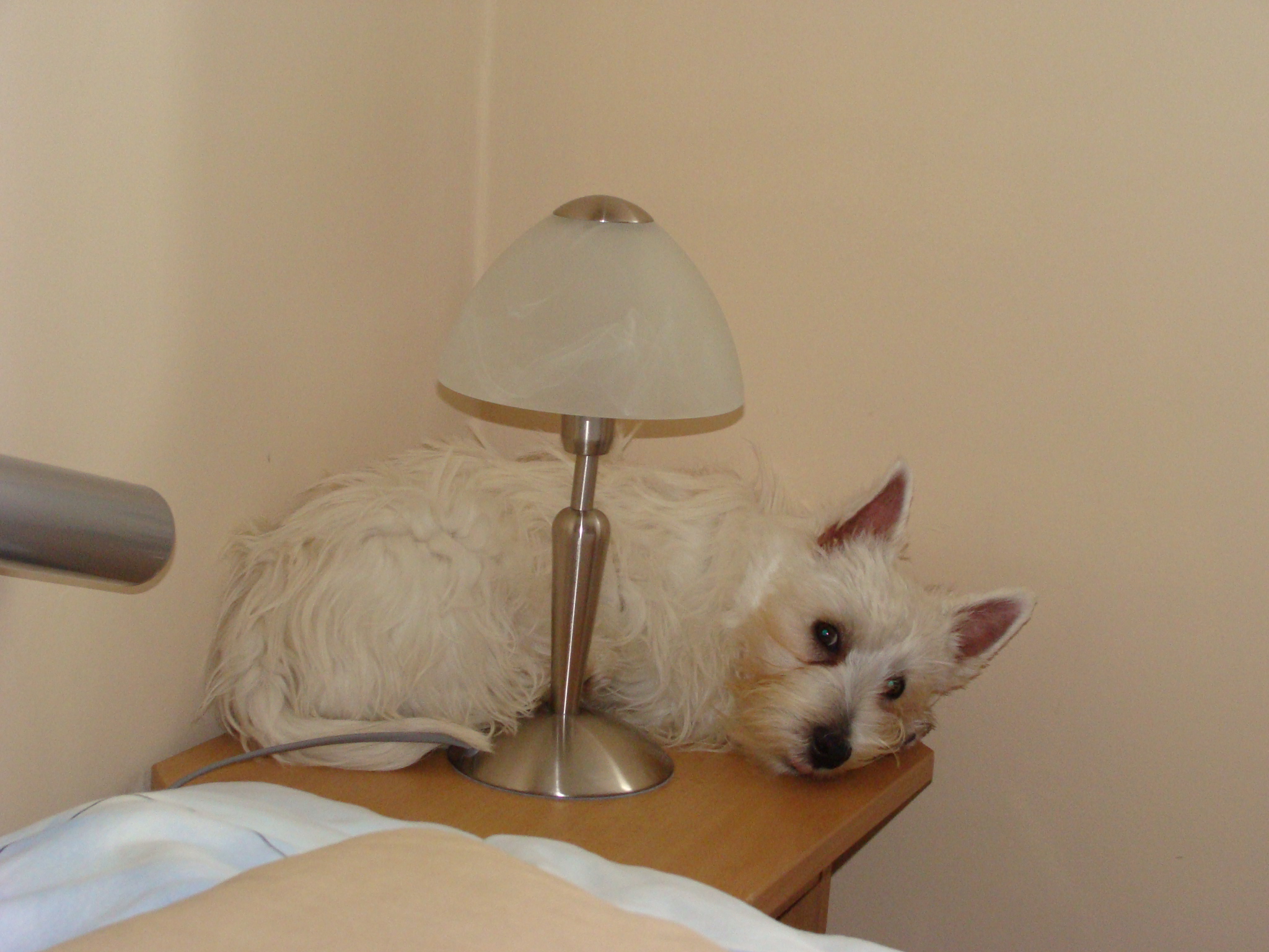 DSC02214.JPG