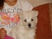 DSC01793.JPG