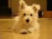 DSC01987.JPG