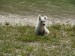 DSC02039.JPG
