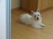 DSC02163.JPG