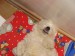 DSC01721.JPG