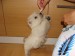DSC01744.JPG