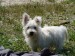 DSC02036.JPG