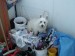 DSC02251.JPG
