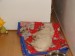 DSC01719.JPG