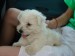 DSC01705.JPG