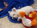 DSC01943.JPG